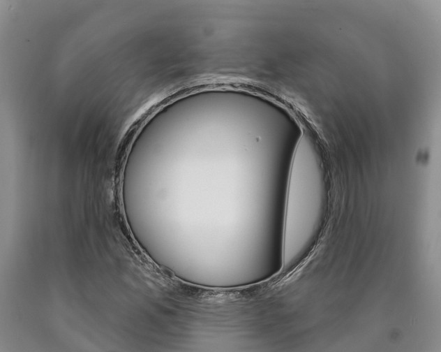 X0000090871165200707270948