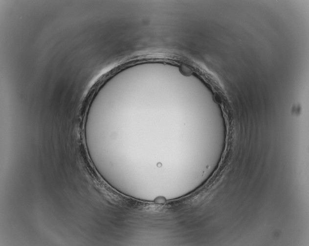 X0000090871166200707270948
