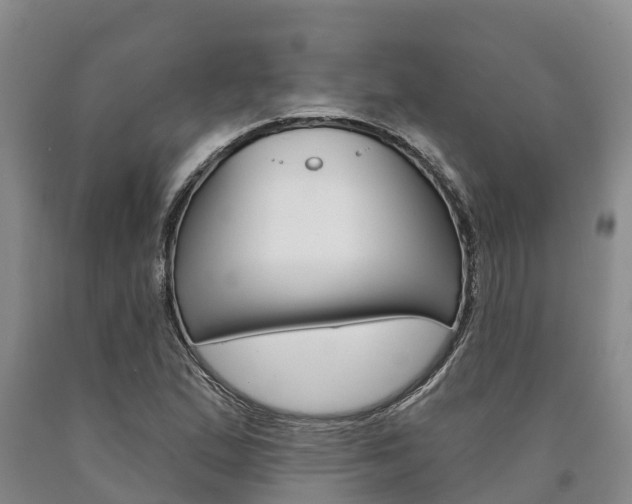 X0000090871167200707270948