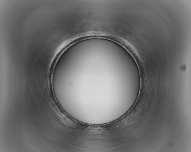 X0000090871168200707270948