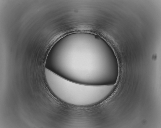 X0000090871169200707270948