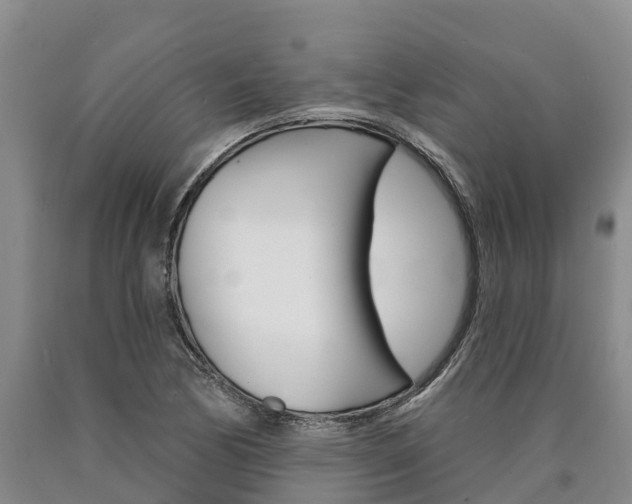 X0000090871170200707270948