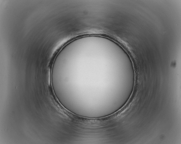 X0000090871171200707270948
