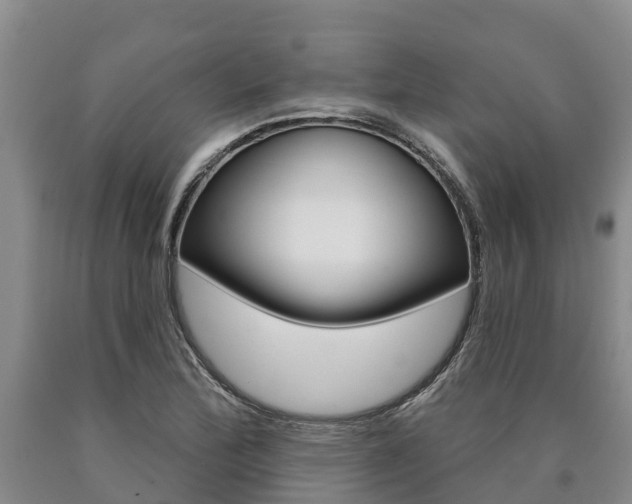 X0000090871172200707270948