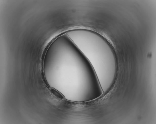 X0000090871173200707270948
