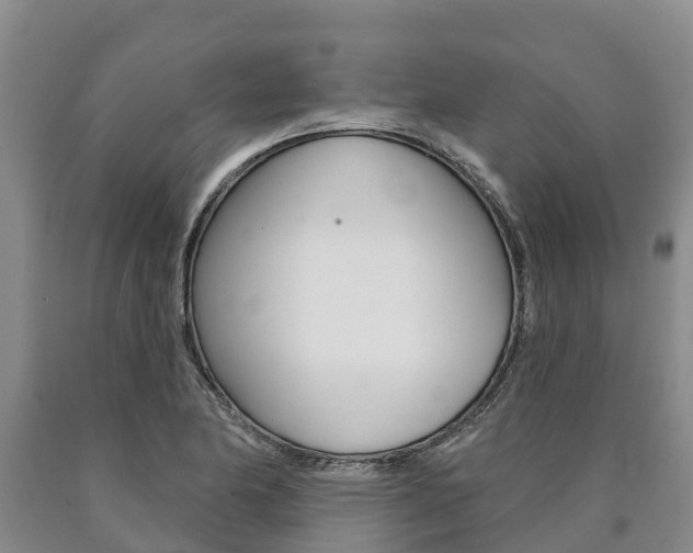 X0000090871174200707270948