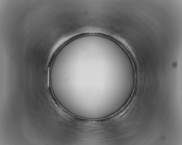 X0000090871175200707270948