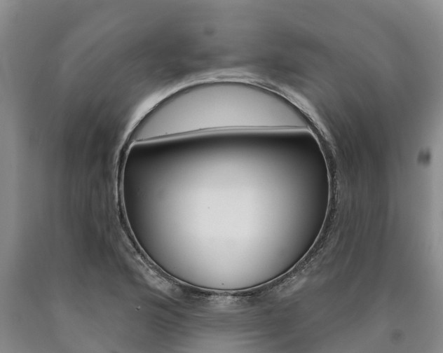 X0000090871176200707270948