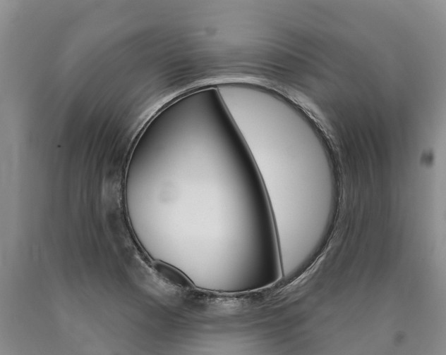 X0000090871177200707270948