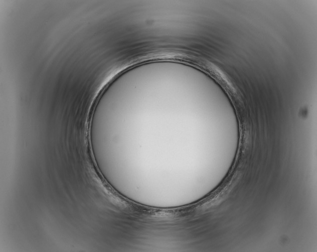 X0000090871178200707270948