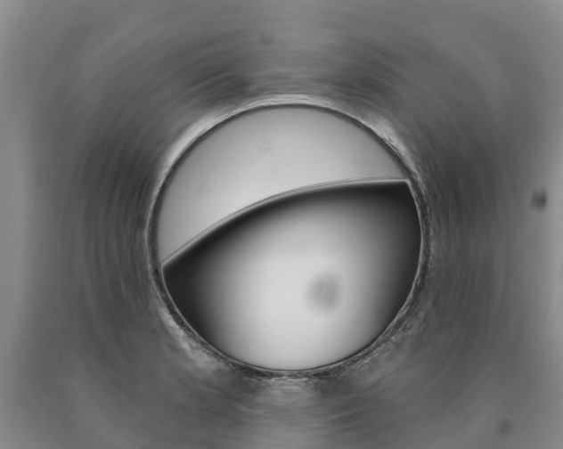 X0000090871181200707270948