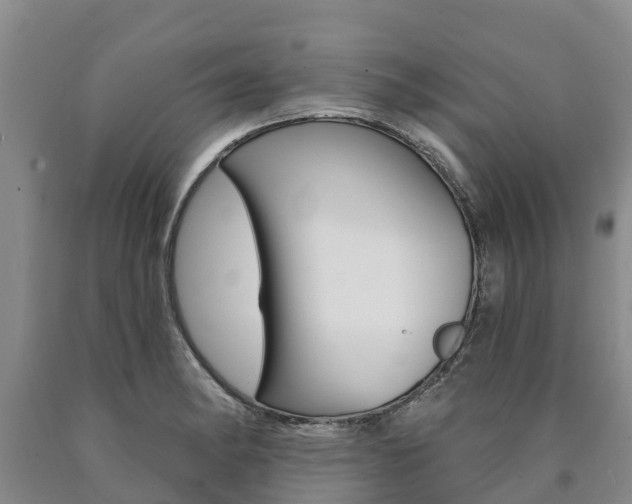 X0000090871182200707270948