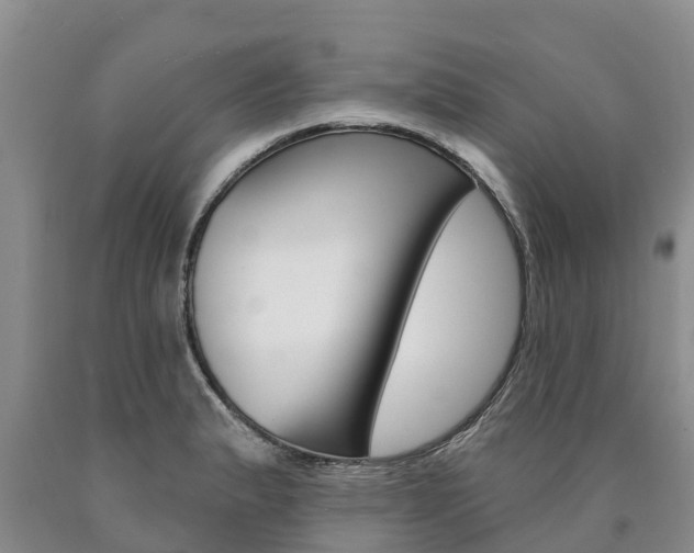 X0000090871183200707270948