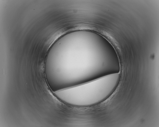 X0000090871185200707270948