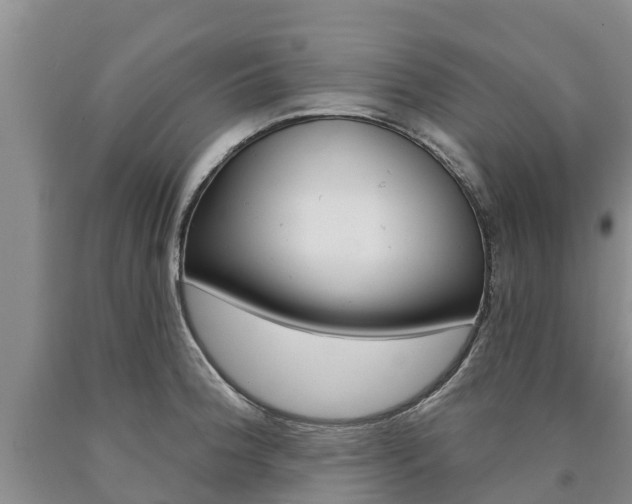 X0000090871188200707270948