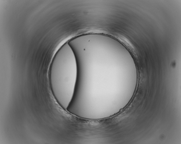 X0000090871190200707270948