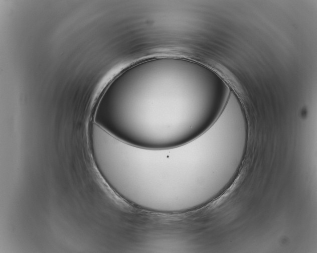 X0000090871196200707270948