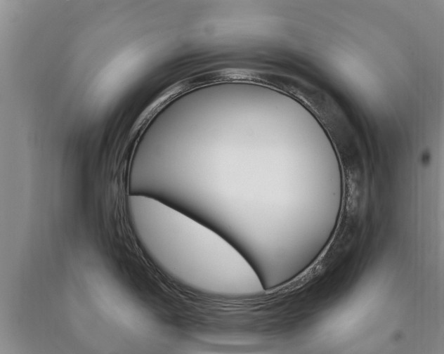 X0000090871198200707270948