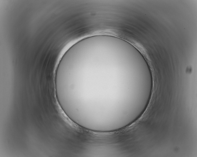 X0000090871200200707270948