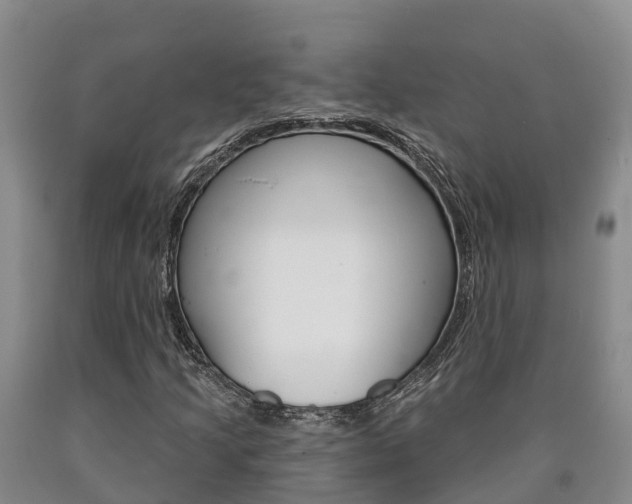 X0000090871205200707270947