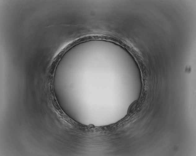 X0000090871208200707270947