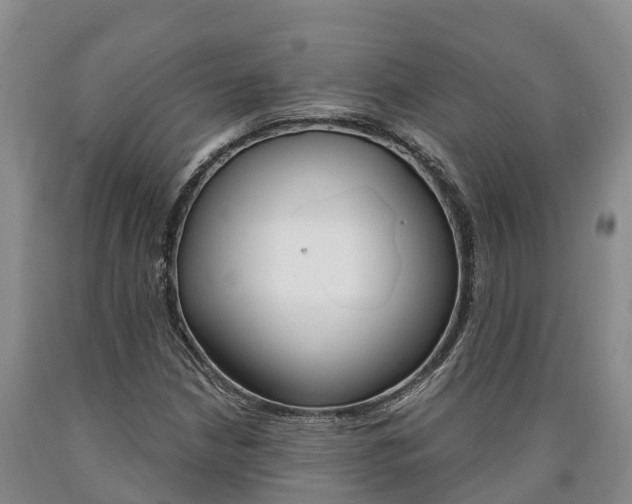 X0000090871210200707270947