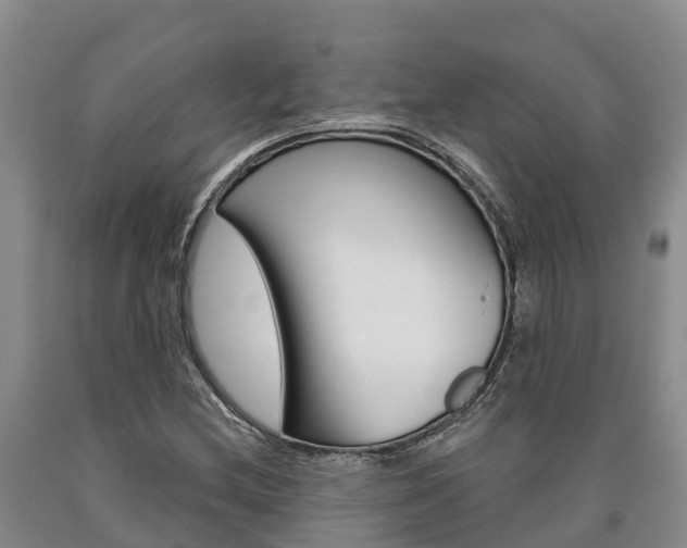 X0000090871212200707270947