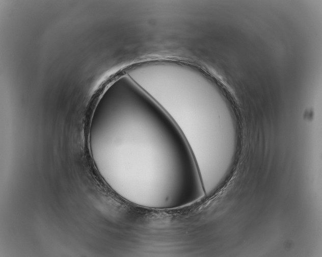 X0000090871214200707270947
