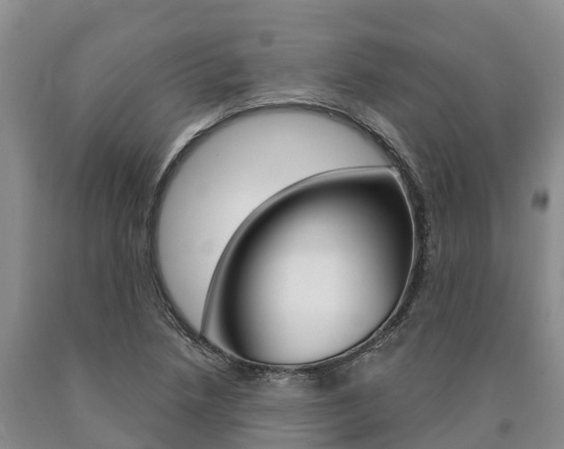X0000090871218200707270948