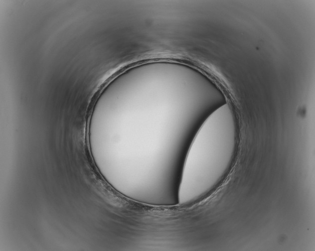 X0000090871220200707270948