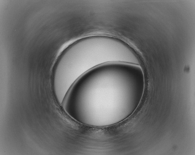 X0000090871222200707270948