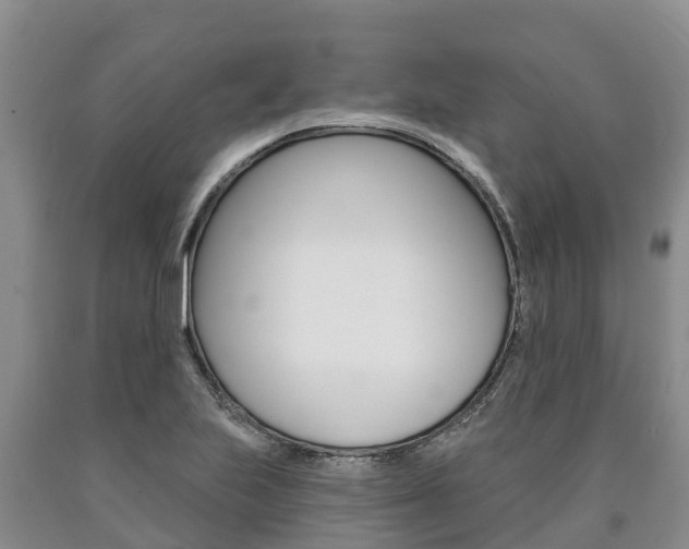 X0000090871223200707270948