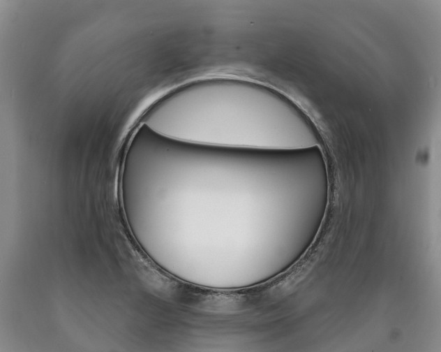 X0000090871224200707270948