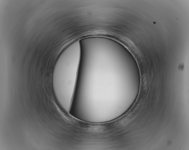 X0000090871225200707270948