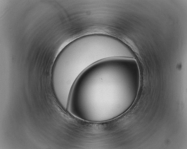 X0000090871226200707270948
