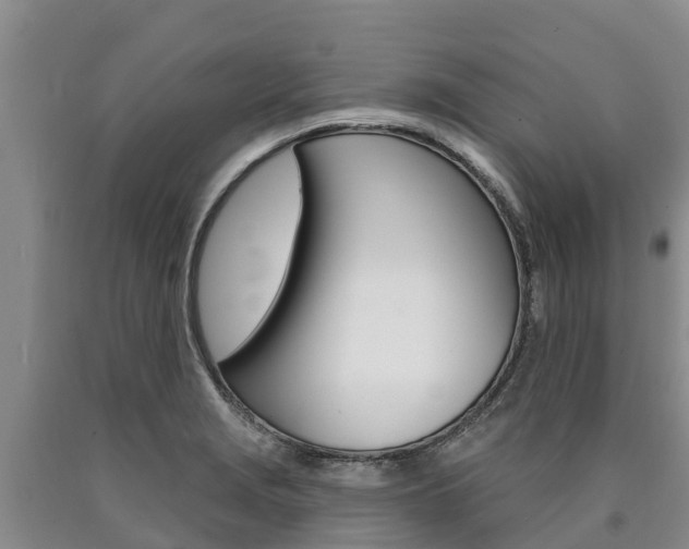 X0000090871229200707270948