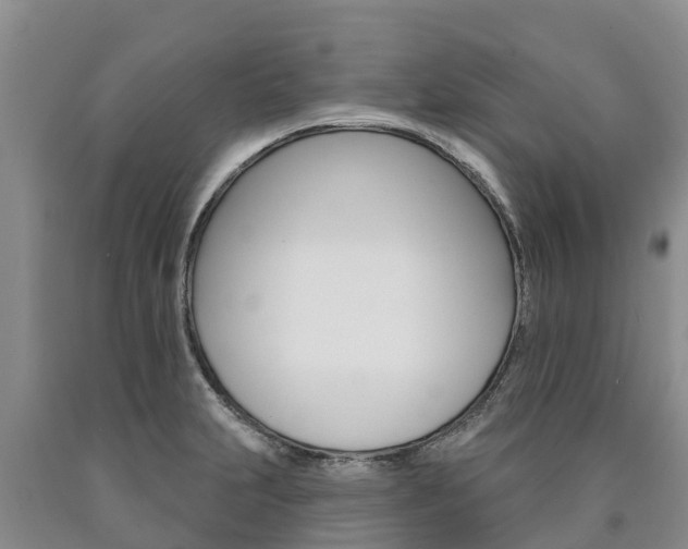 X0000090871231200707270948