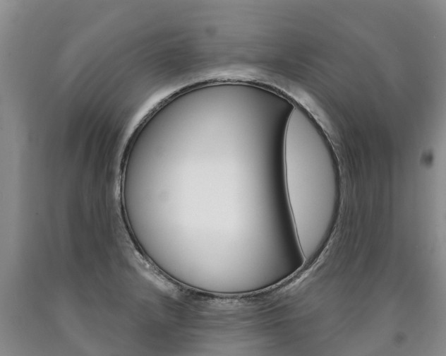 X0000090871232200707270948