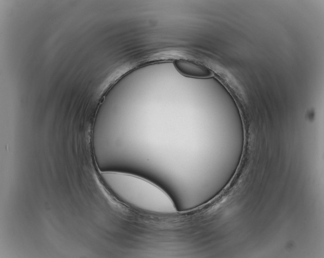 X0000090871233200707270948
