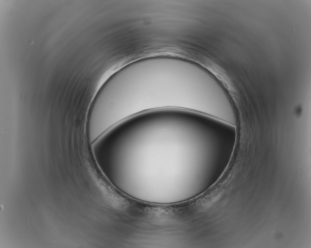 X0000090871234200707270948