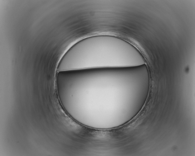 X0000090871236200707270948