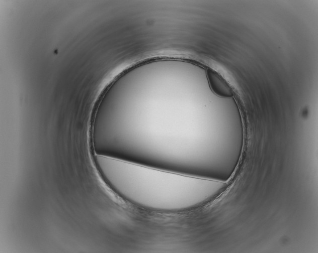 X0000090871237200707270948