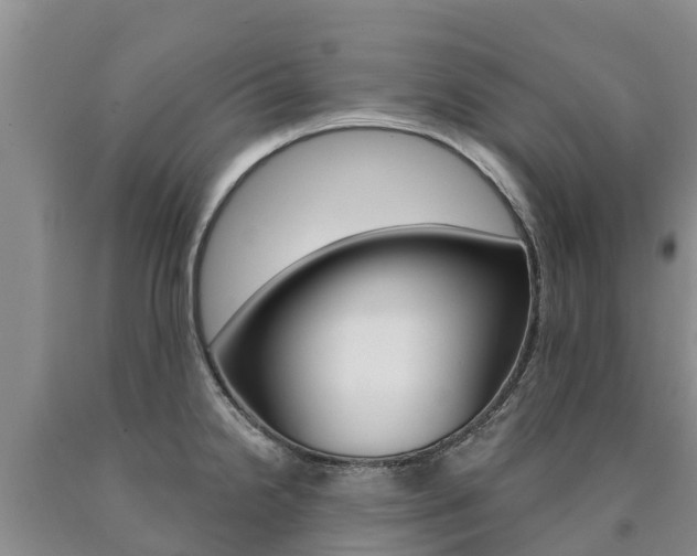X0000090871238200707270948