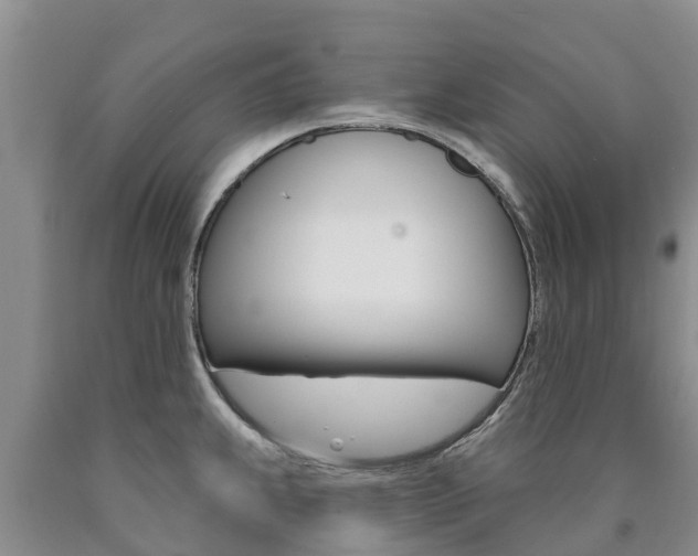 X0000090871239200707270948