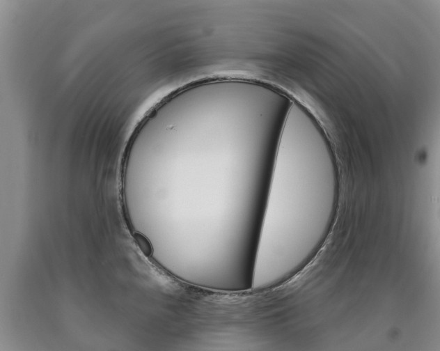 X0000090871240200707270948