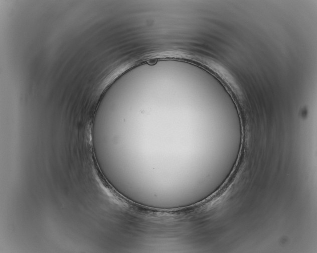 X0000090871241200707270948