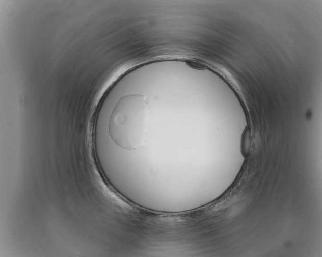 X0000090871243200707270948