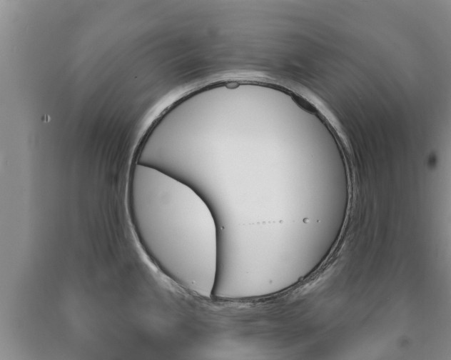 X0000090871245200707270948