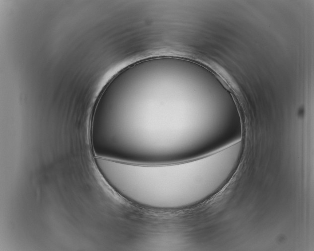 X0000090871246200707270948