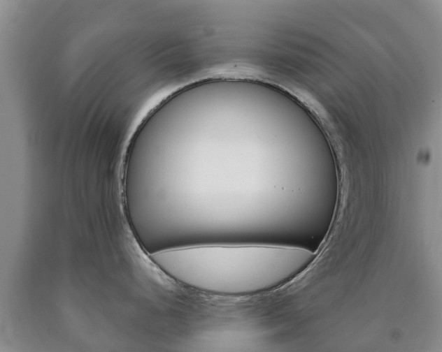 X0000090871248200707270948